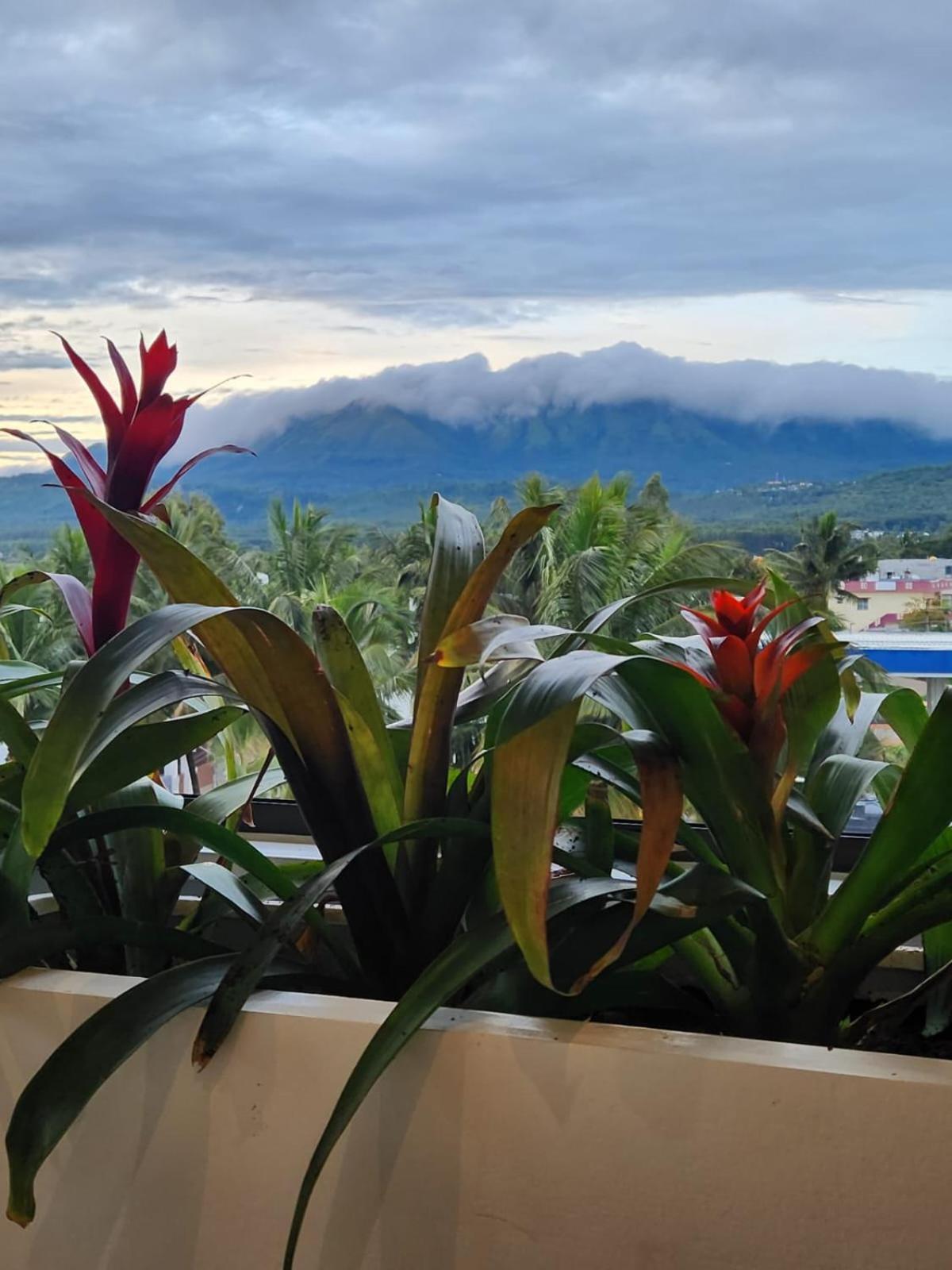 Joldal Residency Hotel Chikmagalur Luaran gambar